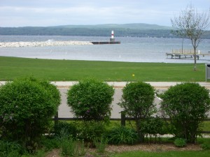 View - Backyard